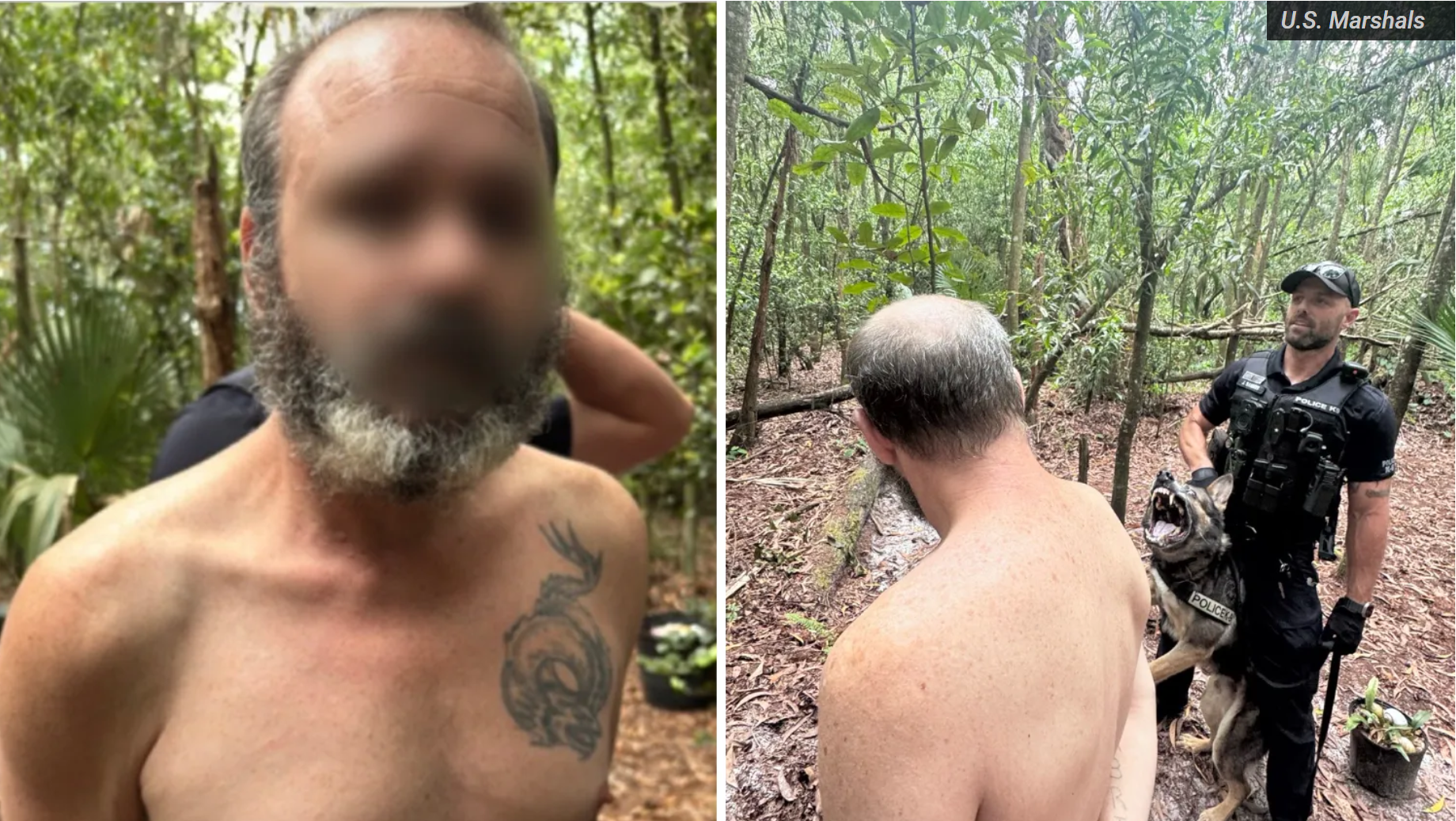 Las autoridades señalaron que Mazzoni ya había sido condenado anteriormente por posesión de pornografía infantil en el condado Delaware, Pennsylvania, lo que lo convirtió en un delincuente sexual Nivel 3